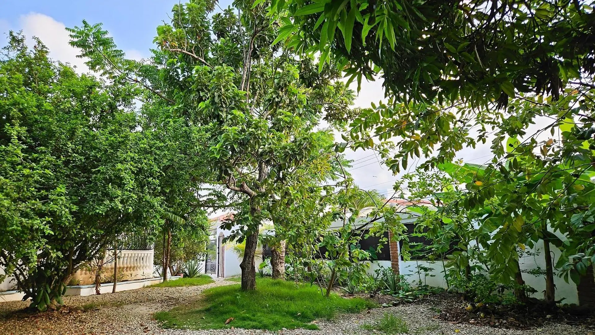 Villa Completamente Privada Con Piscina, Jacuzzi Y Gran Patio Punta Cana